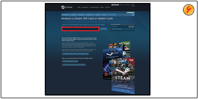Steam Wallet Code